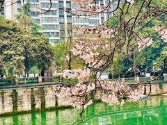 -成都市活水公园