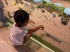 -北京华联购物中心(同成街店)