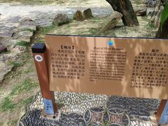 -香雪海