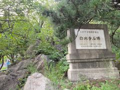 -白水寺森林公园