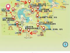 -上海野生动物园
