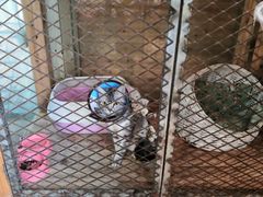 -有才叔的小馆(招商依云曲江店)