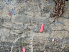-动邦皮划艇·桨板·独木舟·团建户外运动俱乐部