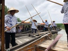 -溱湖国家湿地公园