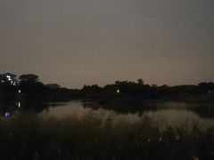 -福田红树林生态公园