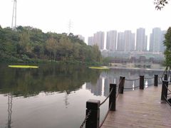 -重庆彩云湖湿地公园