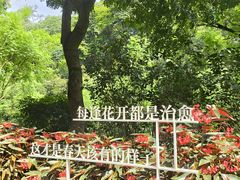 -云溪植物园