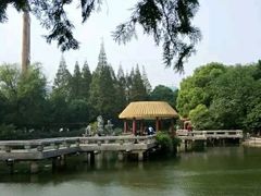 -江湾体育中心游泳馆