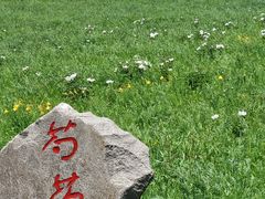 -乌拉盖芍药谷景区