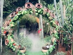 -呀路古热带植物园