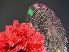 -南昌之星摩天轮