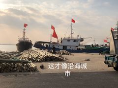 -碧海金沙