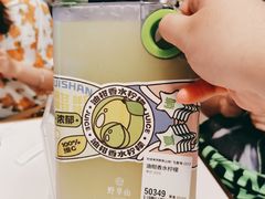 -野萃山·潮汕厚果汁(十亩地店)