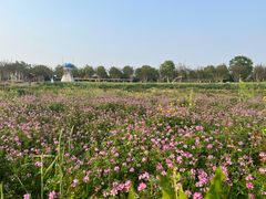 -武汉紫薇都市田园