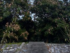 -洪泽湖古堰景区
