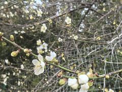 -广州神农草堂中医药博物馆