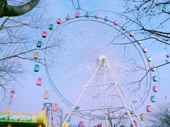 -洋湖国家湿地公园