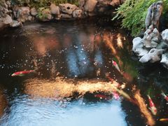 -鲤院·新中式美学·庭院餐厅(夫子庙店)