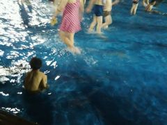 android_upload_pic-武汉玛雅海滩水公园