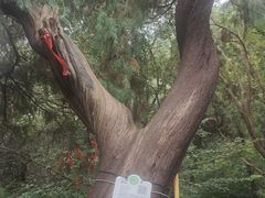 -腊山国家森林公园