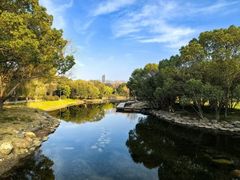 -蠡湖大桥公园