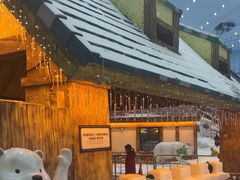 -广州热雪奇迹