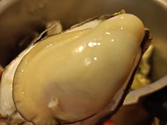 -土蚝·高压锅生蚝(百姓美食街店)