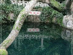 -蝴蝶泉公园