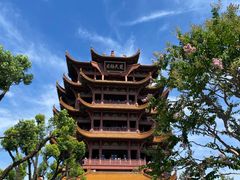 -黄鹤楼公园(黄鹤楼)