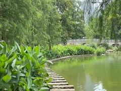 -重庆彩云湖湿地公园