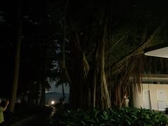 -深圳湾公园(南山区)