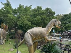 -自贡恐龙博物馆