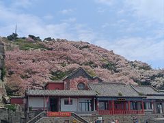 -泰山风景名胜区