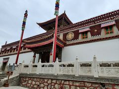 -塔尔寺-菩提树