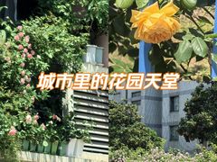 -南京邮电大学(仙林校区)
