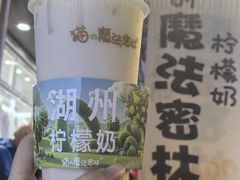 -猫的魔法密林(衣裳街店)
