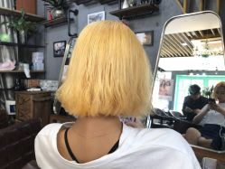 -MG Style Salon