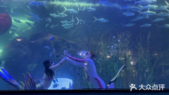 聊城海底世界图片