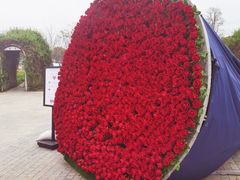 -上海杨姆庄园