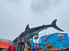 -海合安武汉极地海洋公园