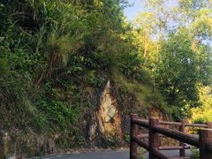 -羚羊峡古栈道森林公园