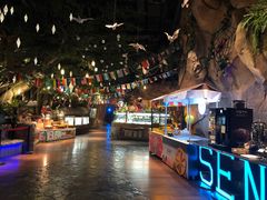 -杭州开元森泊度假乐园