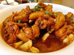 红烧小公鸡-华庭苑农家乐(旺山店)