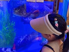 -开海·红岛海鲜虾水饺(石老人店)