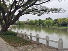 -江心屿景区
