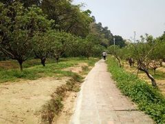 -南国桃园旅游度假区