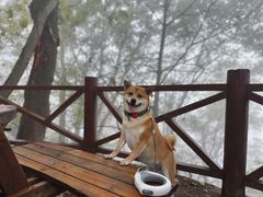 -终南山南五台景区