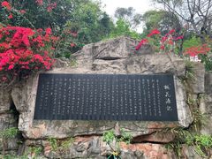 -广州市白云山风景名胜区