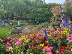 -苏州上方山国家森林公园