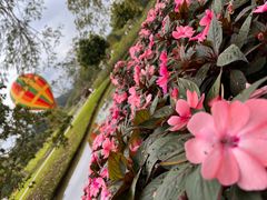 -中国科学院西双版纳热带植物园